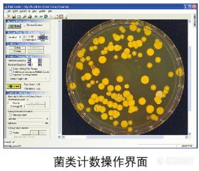 菌落计数操作界面.jpg