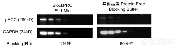 BlockPRO-2.png