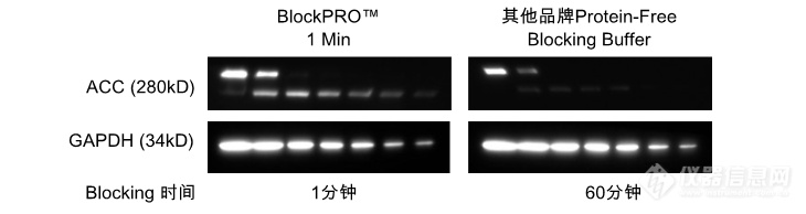 BlockPRO-1.png