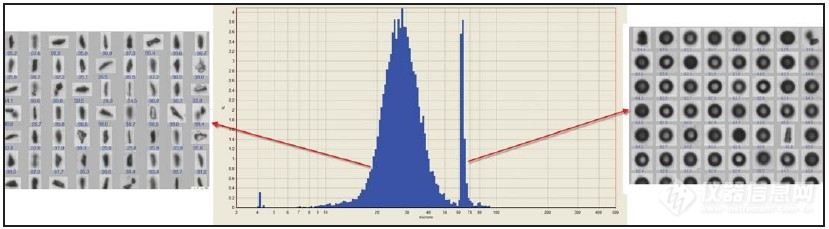 麦克应用系列之粒度粒形—颗粒分析的准确度对生产过程和最终产品的影响（20190628））