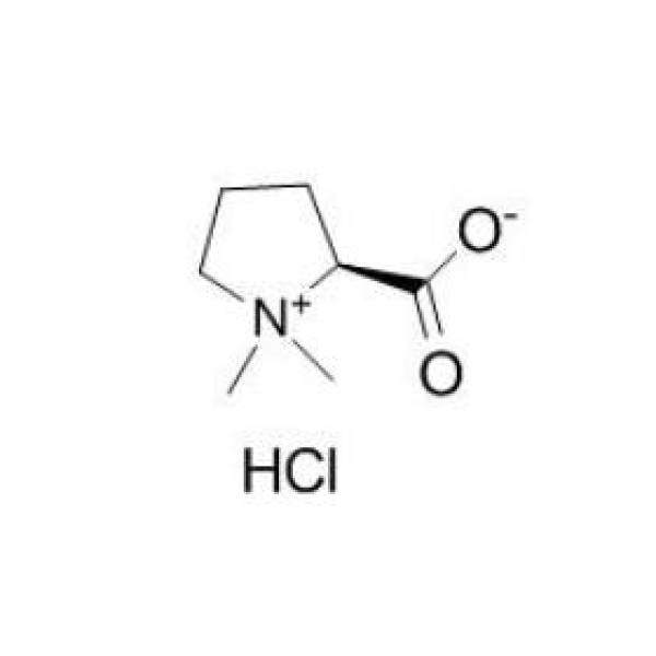 盐酸水苏碱 CAS:4136-37-2