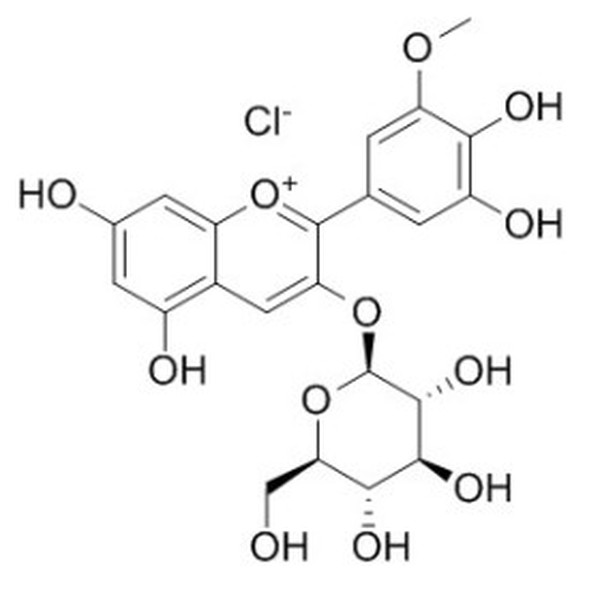 氯化矮牵牛素-3-O-葡萄糖苷 CAS:6988-81-4