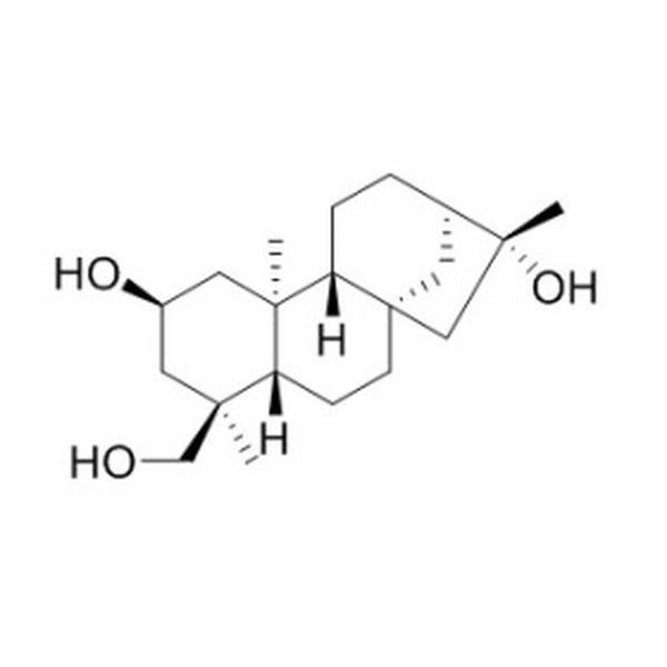 蕨贝壳杉烷 R CAS:67349-43-3