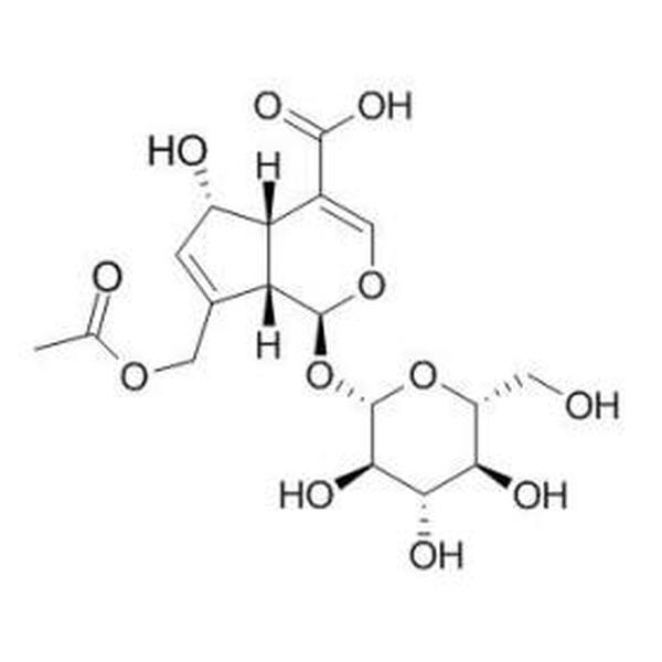 车叶草苷酸 CAS:25368-11-0