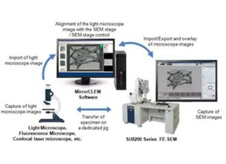 光-电联用显微镜法（CLEM）系统