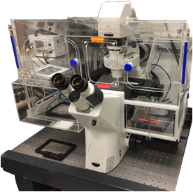 高通量单细胞器官功能测量纳米水凝胶3D培养系统 