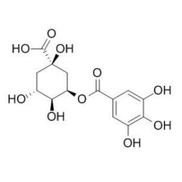 5-没食子酰基奎宁酸 CAS:53584-43-3