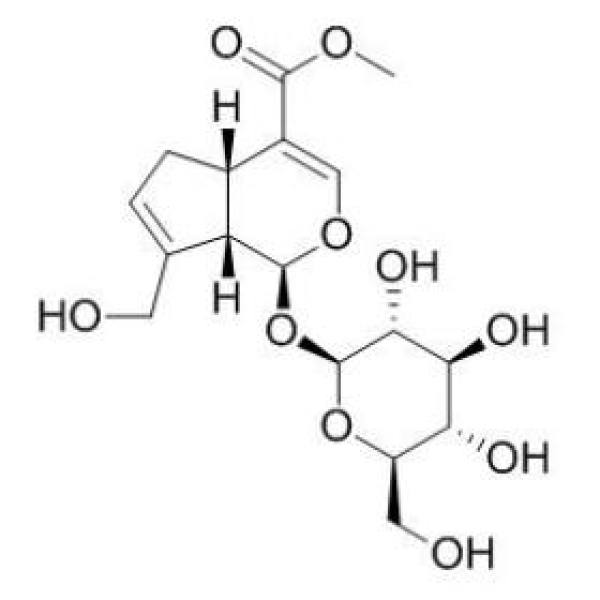 栀子苷,京尼平苷,CAS:24512-63-8