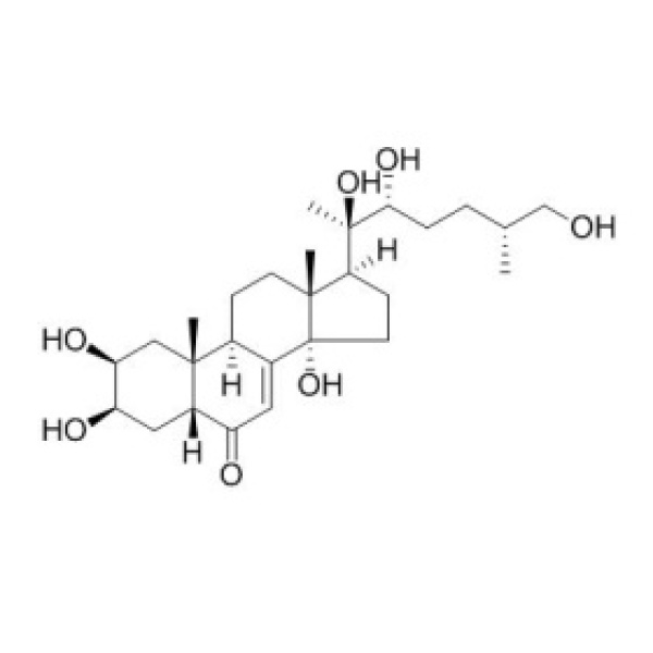 25S-牛膝甾酮 CAS:19595-18-7