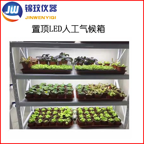 锦玟冷光源育苗人工气候箱JMRC-800B-LED