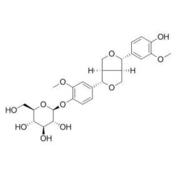(+)-松脂素-β-D-吡喃葡萄糖苷 CAS:69251-96-3