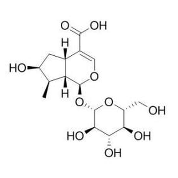 马钱苷酸,马钱酸CAS：22255-40-9