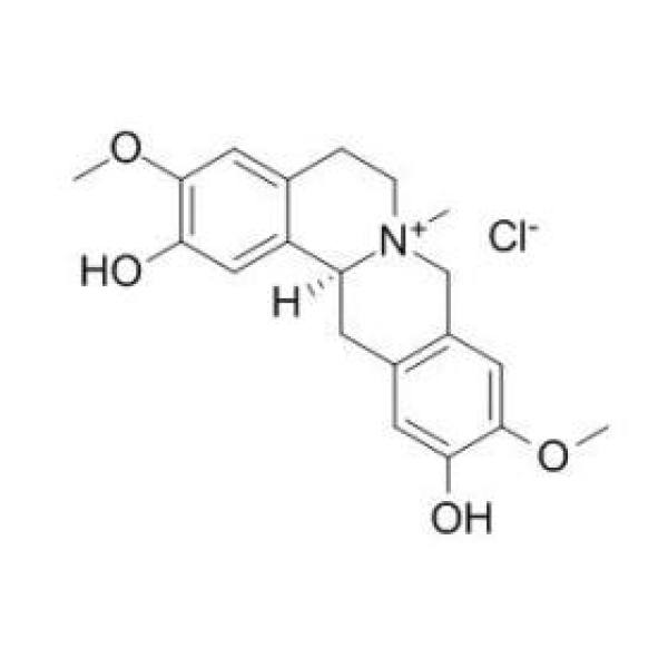 盐酸黄柏碱 CAS:104112-82-5