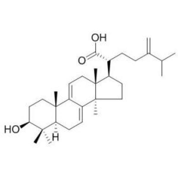 二氢齿孔酸 CAS:6879-05-6