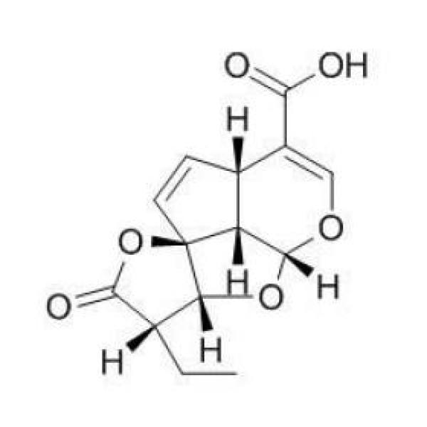β-二氢鸡蛋花素酸 CAS:59204-61-4