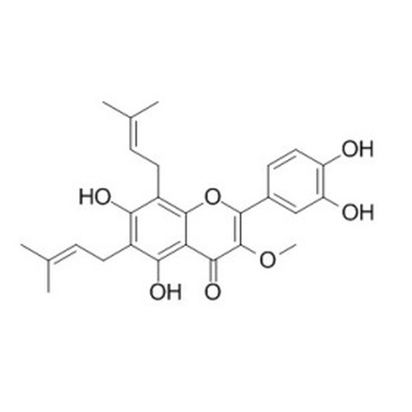 楮树黄酮醇B CAS:99217-70-6