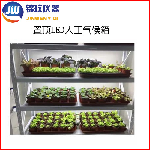 锦玟双开门冷光源人工气候箱JMRC-1000C-LED植物培养箱