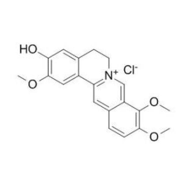 盐酸药根碱, CAS:6681-15-8