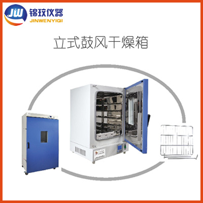 锦玟立式电热干燥箱LHG-9240A