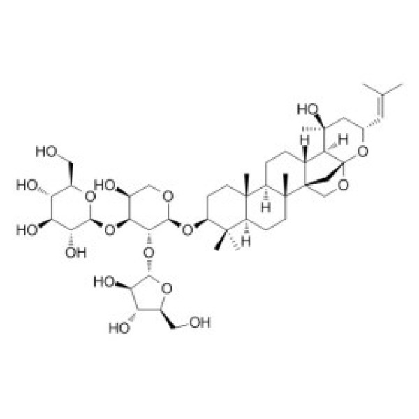 假马齿苋皂苷X CAS:94443-88-6