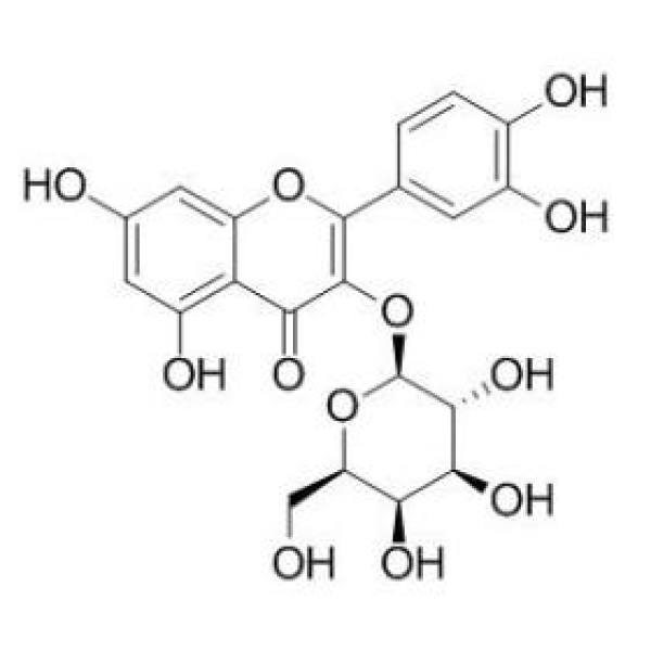 金丝桃苷 CAS:482-36-0