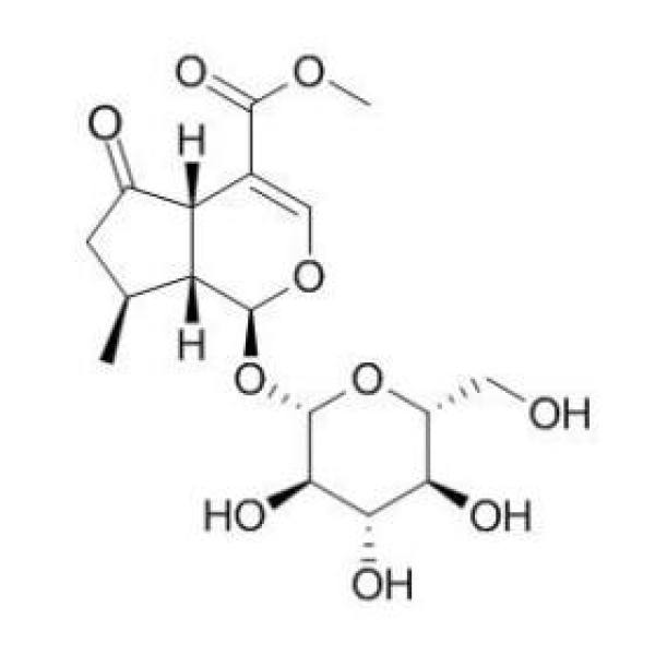 马鞭草苷 CAS:548-37-8