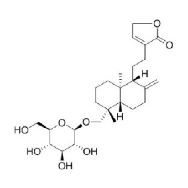 新穿心莲内酯 CAS:27215-14-1