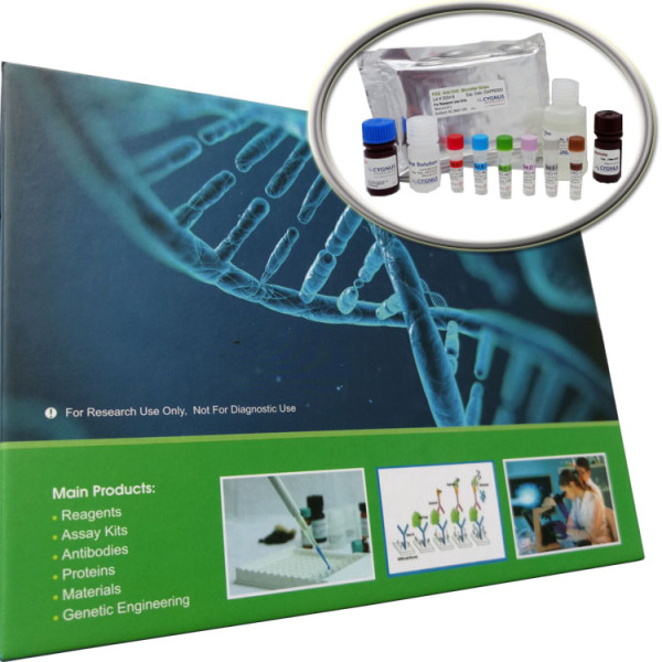 MMP试剂盒；人基质金属蛋白酶(MMP)ELISA试剂盒