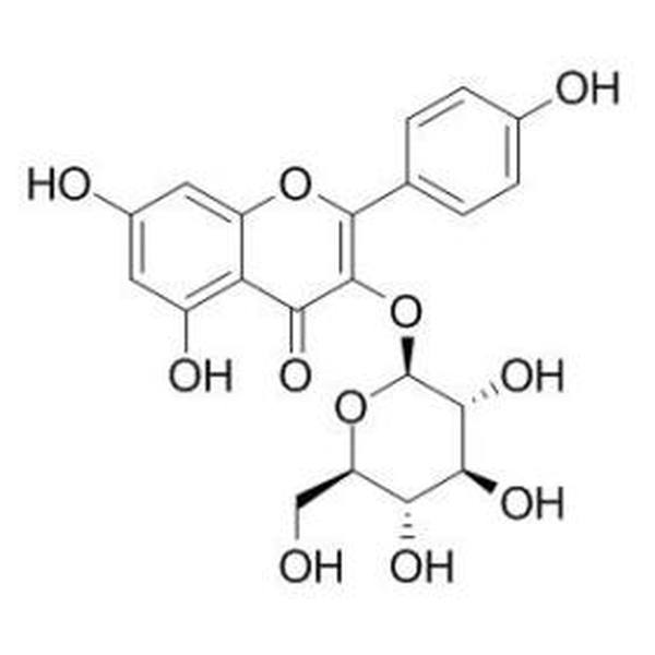 紫云英苷,CAS:480-10-4