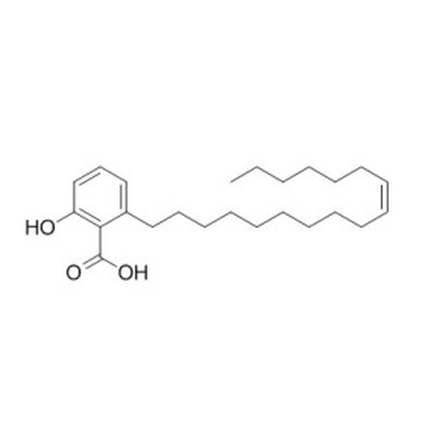 白果酸 CAS:111047-30-4