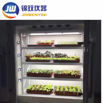 锦玟JMRC-150B-LED冷光源人工气候箱 植物生长箱 