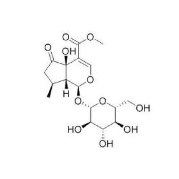 戟叶马鞭草苷CAS：50816-24-5