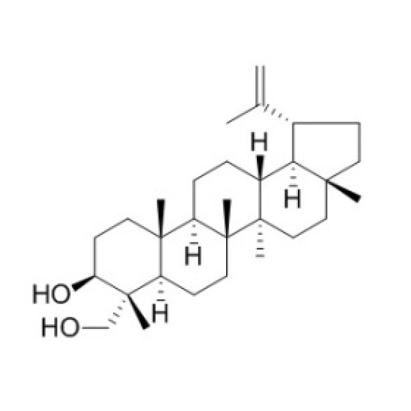 羽扇-20(29)-烯-3bate,23-二醇 CAS:163060-07-9