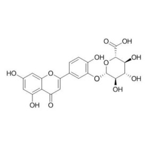 木犀草素-3'-葡萄糖醛酸苷 CAS:53527-42-7