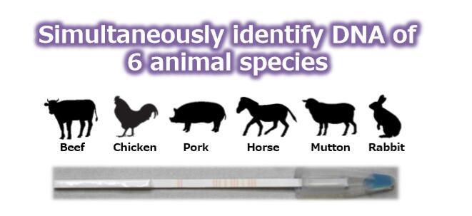 DNA多通道肉源/毛发物种鉴别试剂盒
