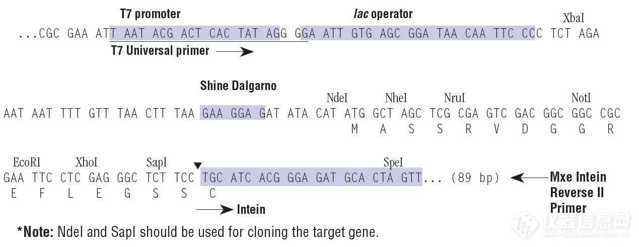 pTXB11.jpg