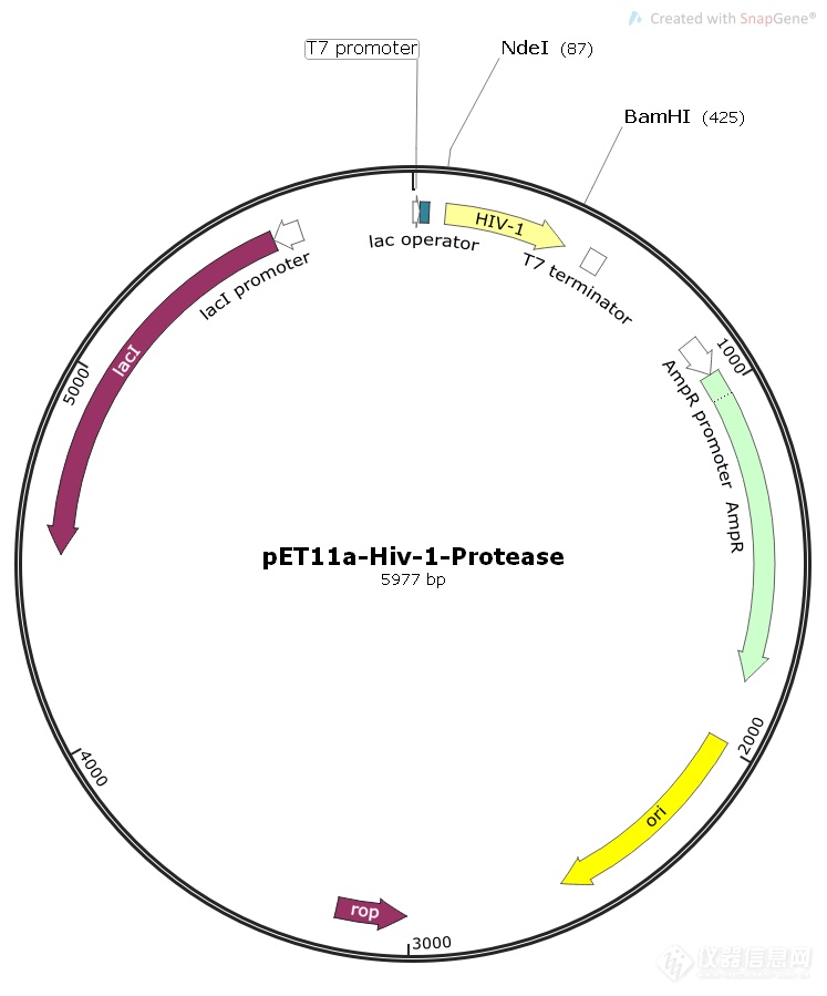 pET11a-Hiv-1-Protease.png