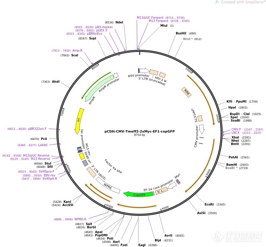 pCDH-CMV-exosome booster-EF1-copGFP-Puro.png