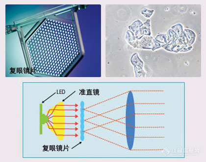 生物显微镜E200.jpg