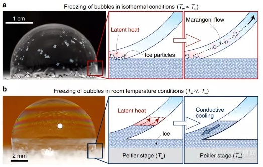 两种情况下气泡的冻结行为.png