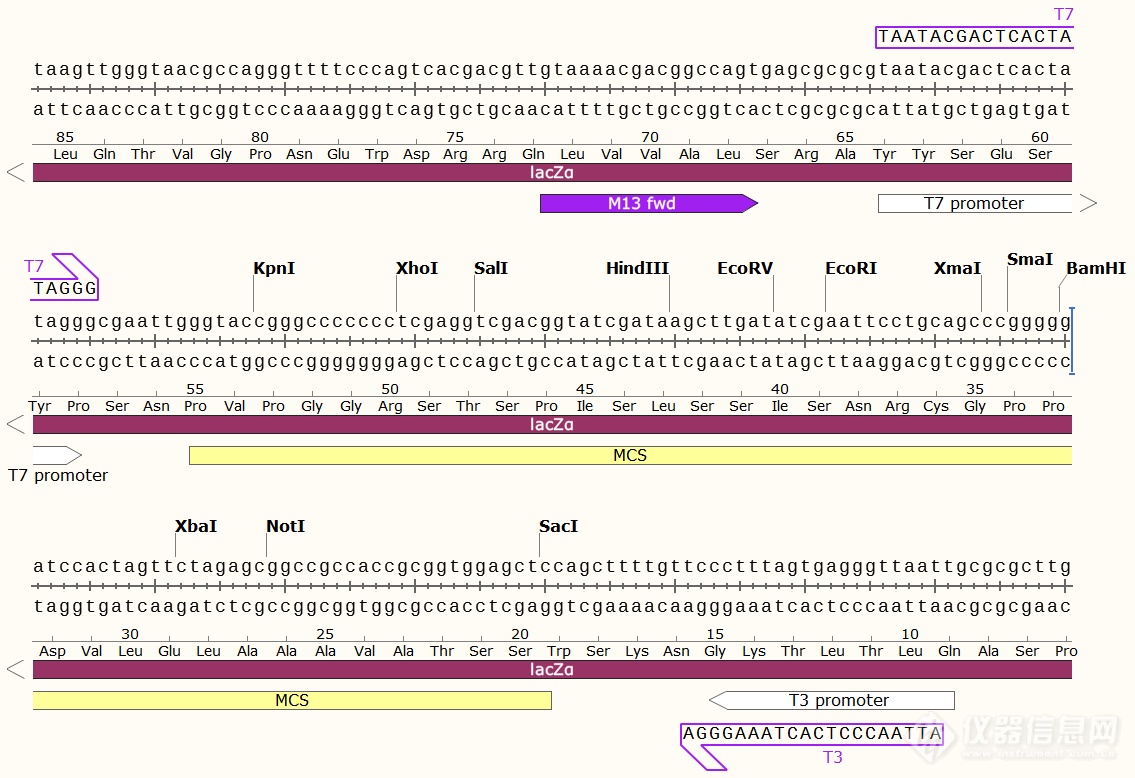 pBluescript II-SK(+)1.png