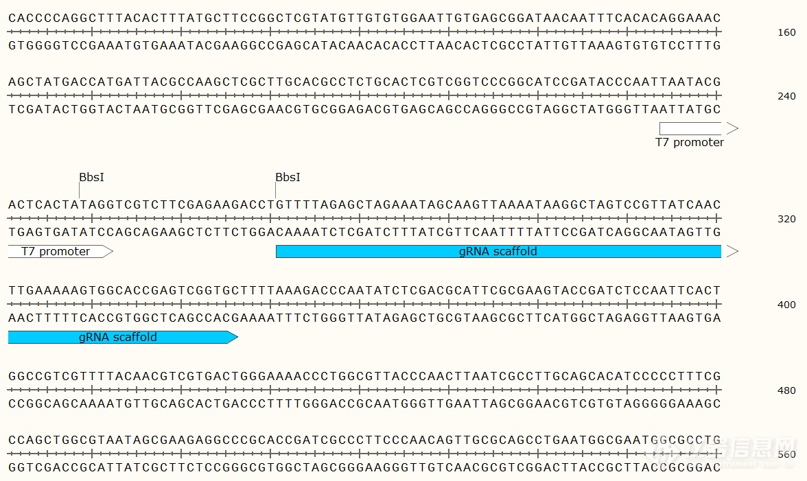 pUC57-Simple-gRNA backbone2.png