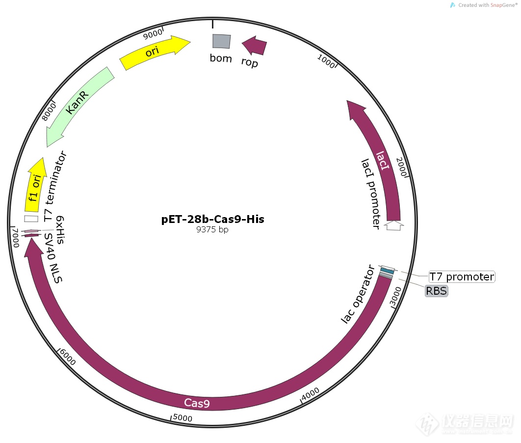 pET-28b-Cas9-His.png