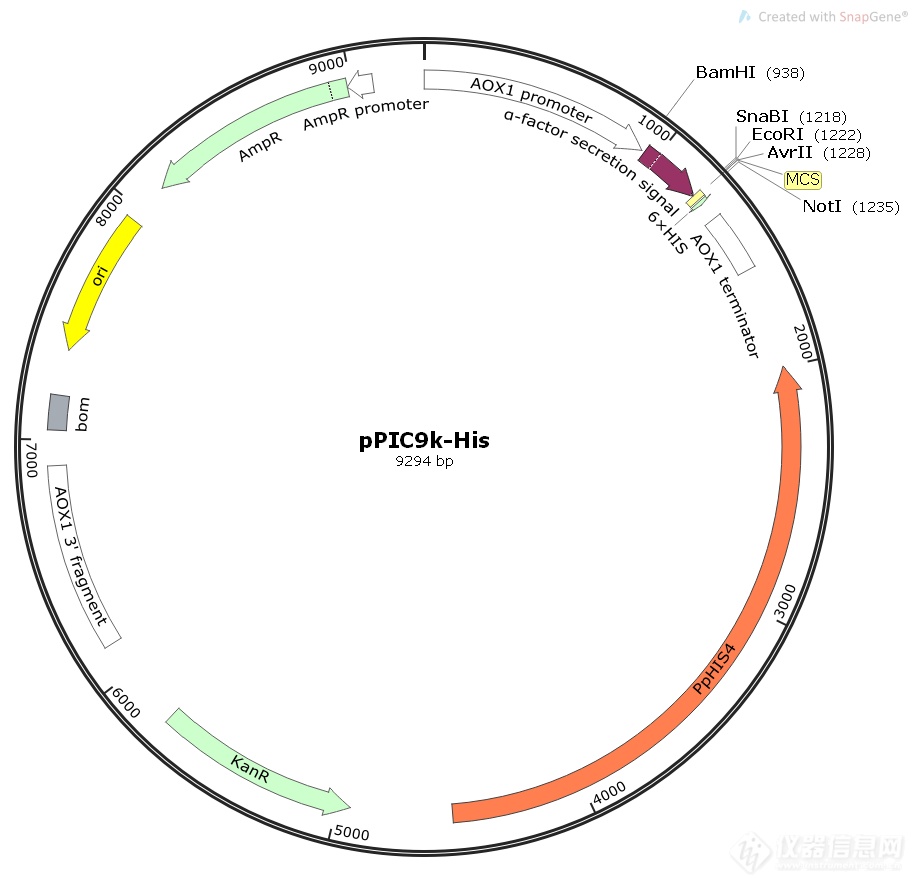 質粒圖譜ppic9k-his畢赤酵母表達質粒質粒簡介基本信息ppic9k-his畢赤