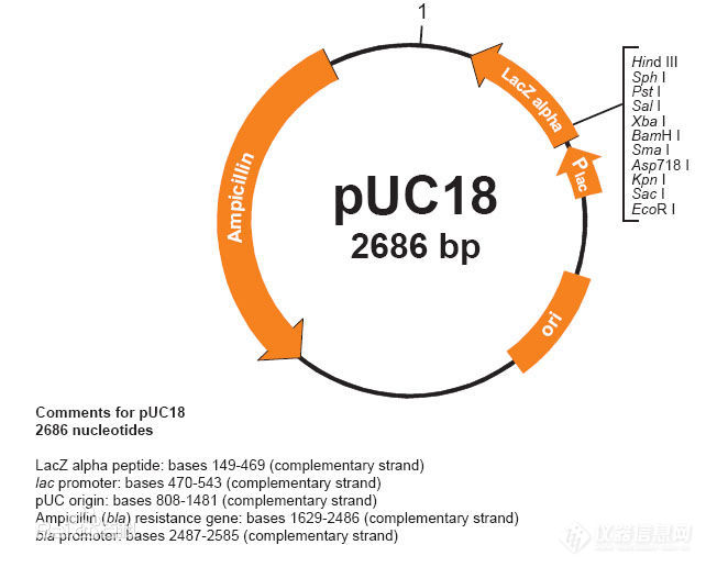 pUC18.jpg