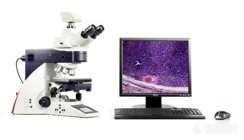 DM4000B生物显微镜.jpg