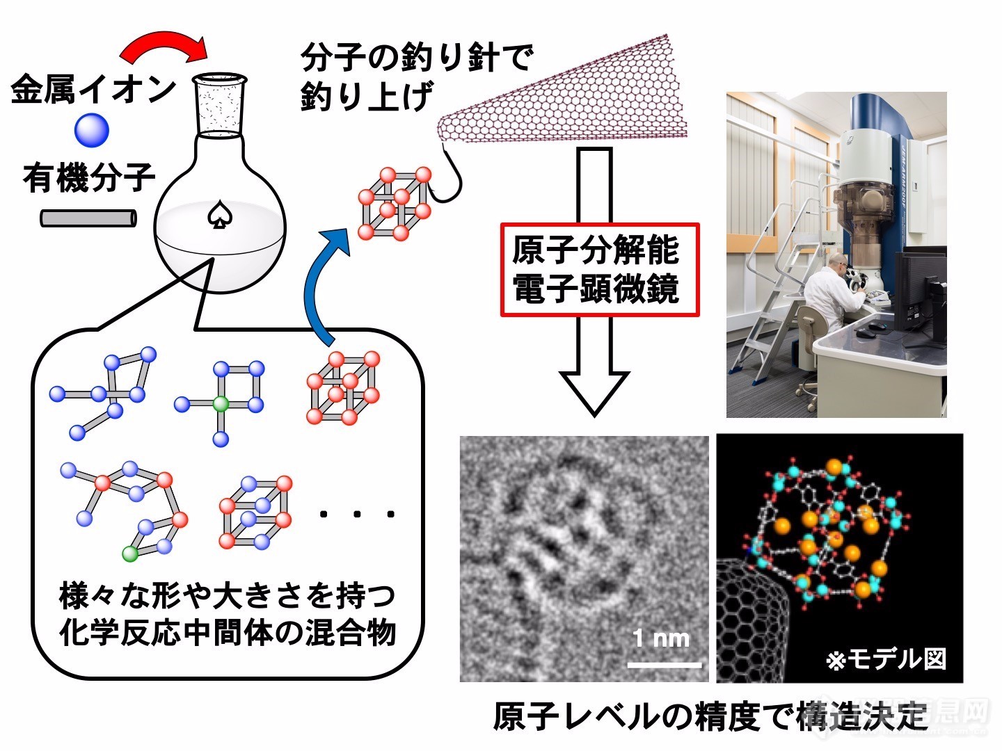 东京大学化学家首次原子分辨透射电镜制作化学合成分子视频