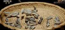 洽洽瓜子二氧化硫、霉菌不合格！食物中二氧化硫检测不能少