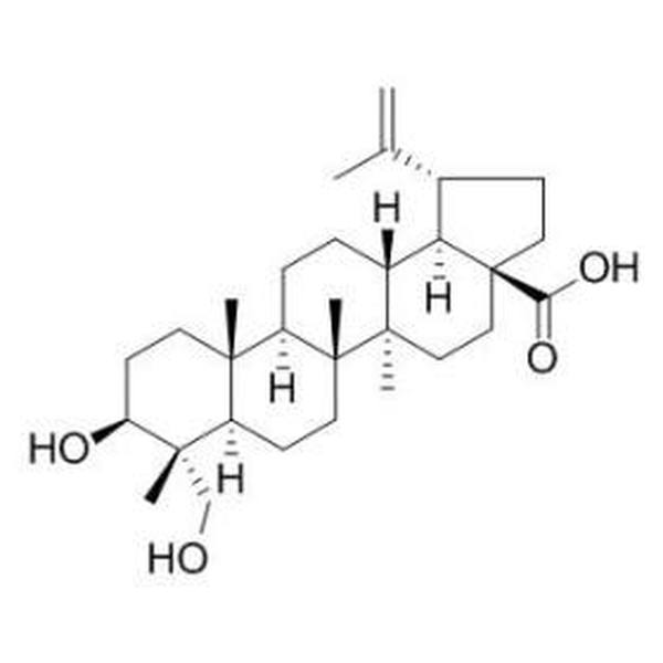 23-羟基白桦酸 CAS:85999-40-2