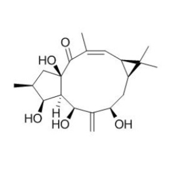 7-羟基千金子二帖醇 CAS:34208-98-5